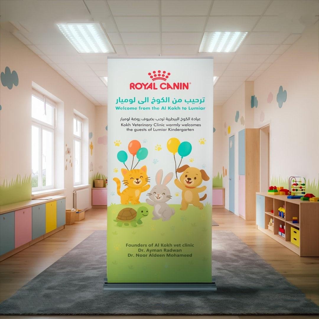 رول أب باك گري ( طباعة عالية الدقة + حضور قوي)